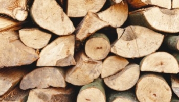 Welches Holz für Ihren Feuerplatz zu wählen: Leitfaden und praktische Tipps