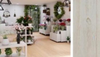Weichheit und Helligkeit: Die TRADIS Veredelung White Wash