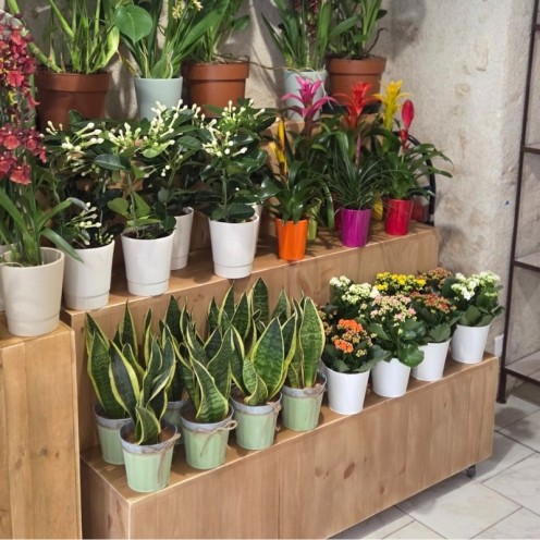 Agencement du fleuriste Le Jardin de Marceline - Carrousel 1