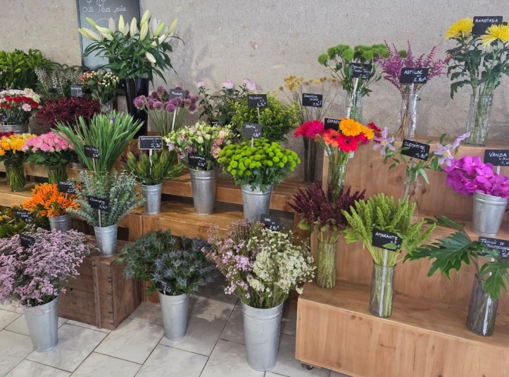Layout of the florist Le Jardin de Marceline