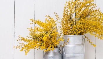 Fleuristes : Comment sensibiliser vos clients à des fleurs écoresponsables ?