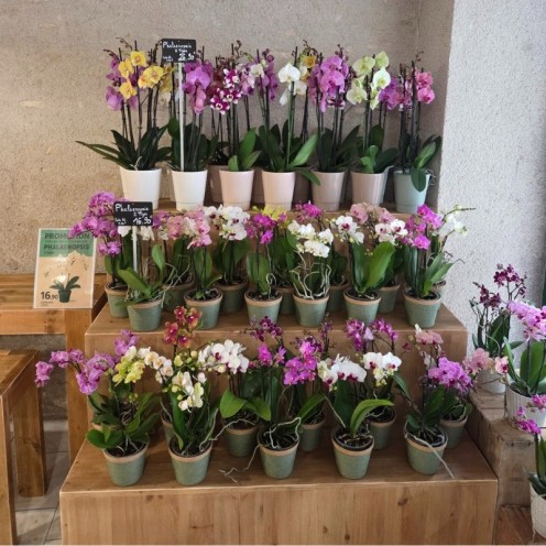 Inrichting van de bloemist Le Jardin de Marceline - Carrousel 2