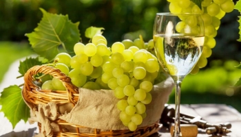 Bewaren van witte wijn: alles wat u moet weten